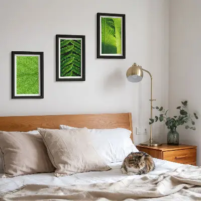 Bilderwand mit Nahaufnahmen von tropischen Blättern