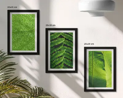 Bilderwand mit Nahaufnahmen von tropischen Blättern