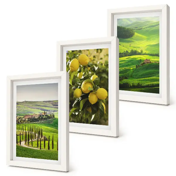 Bilderwand mit italienischen Landschaften, Zitrusbäumen und grünen Hügeln