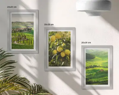 Bilderwand mit italienischen Landschaften, Zitrusbäumen und grünen Hügeln