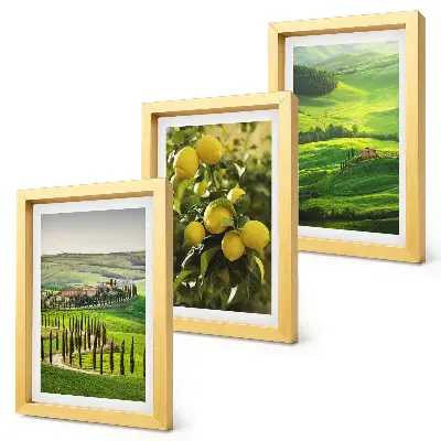 Bilderwand mit italienischen Landschaften, Zitrusbäumen und grünen Hügeln