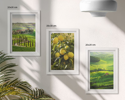 Bilderwand Italienische Landschaften mit Zitrusbäumen und grünen Hügeln