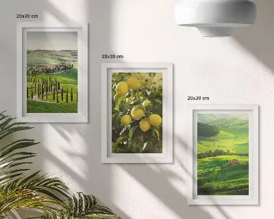 Bilderwand mit italienischen Landschaften, Zitrusbäumen und grünen Hügeln