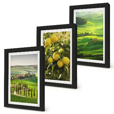 Bilderwand mit italienischen Landschaften, Zitrusbäumen und grünen Hügeln