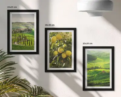 Bilderwand mit italienischen Landschaften, Zitrusbäumen und grünen Hügeln