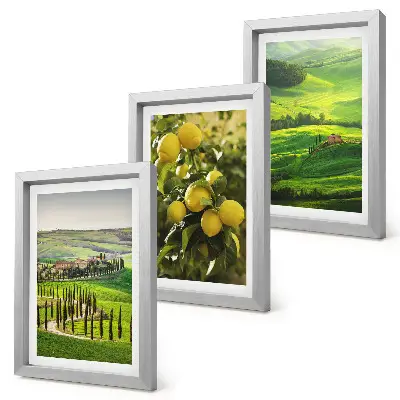 Bilderwand mit italienischen Landschaften, Zitrusbäumen und grünen Hügeln