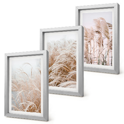 Fotowand Grasfelder in zarten Braun- und Beigetönen