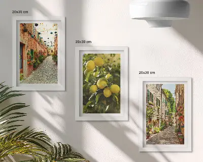 Fotowand charmante Straßen mit Blumen und Zitronen