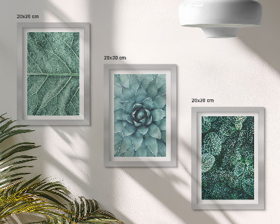 Bilderwand Nahaufnahmen von Sukkulenten und Blättern