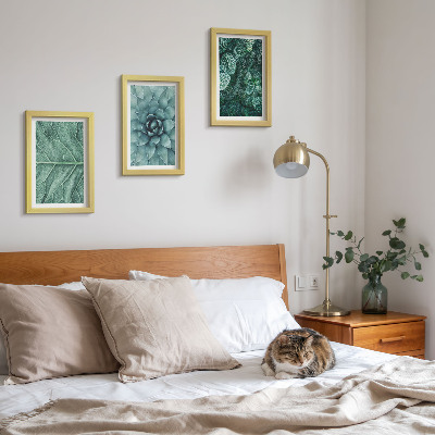 Bilderwand Nahaufnahmen von Sukkulenten und Blättern