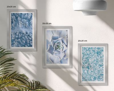 Bilderwand Winterwald blaue Blume blaue Wasseroberfläche