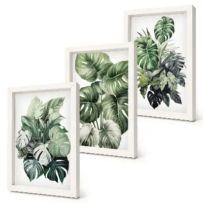 Aquarell-Bilderset mit Rahmen mit Motiven grüner tropischer Pflanzen