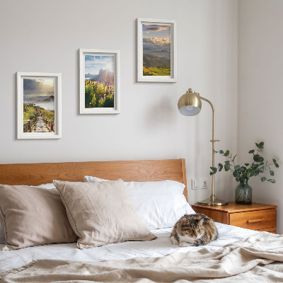 Bilderwand Berglandschaften mit Blumen, Himmel und Weg
