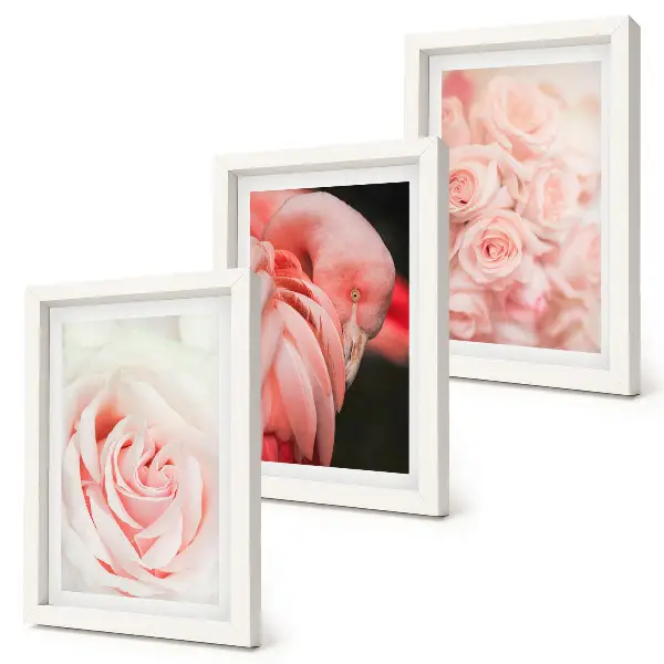 Bilderwand in Pastellrosa und Flamingotönen