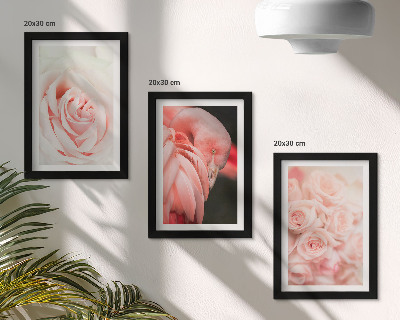 Bilderwand Pastellrosa und Flamingo in zarten Farbtönen