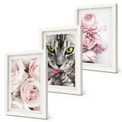 Fotowand mit einer Katze inmitten von rosa Rosen und Pfingstrosen