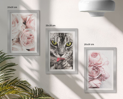 Fotowand Eine Katze inmitten rosa Rosen und Pfingstrosen