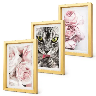 Fotowand mit einer Katze inmitten von rosa Rosen und Pfingstrosen