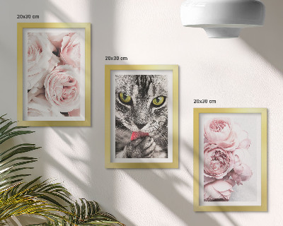 Fotowand Eine Katze inmitten rosa Rosen und Pfingstrosen