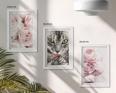 Fotowand Eine Katze inmitten rosa Rosen und Pfingstrosen