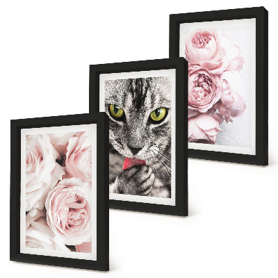 Fotowand Eine Katze inmitten rosa Rosen und Pfingstrosen