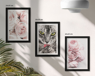 Fotowand Eine Katze inmitten rosa Rosen und Pfingstrosen