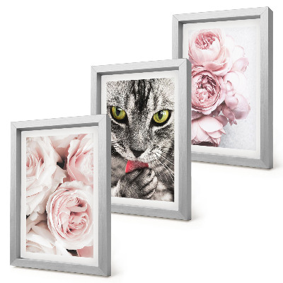 Fotowand Eine Katze inmitten rosa Rosen und Pfingstrosen