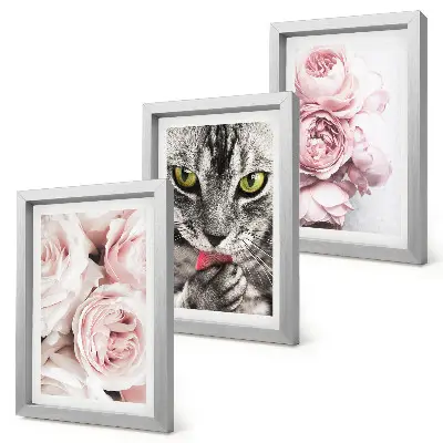 Fotowand mit einer Katze inmitten von rosa Rosen und Pfingstrosen