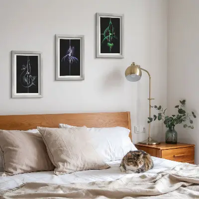 Bilderwand mit abstrakten Mustern in Schwarz- und Farbtönen