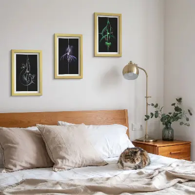 Bilderwand mit abstrakten Mustern in Schwarz- und Farbtönen