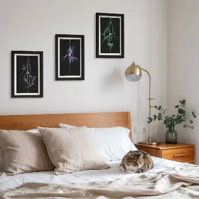 Bilderwand mit abstrakten Mustern in Schwarz- und Farbtönen