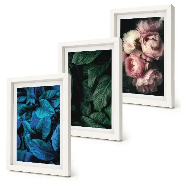 Blätter und Blüten bilderset mit rahmen in verschiedenen farben