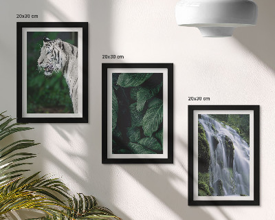 Fotowand Weiße Tigerblätter und Wasserfall in natürlicher Umgebung