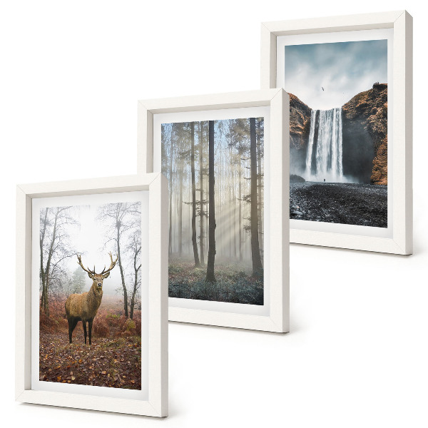 Bilderwand Waldlandschaften, wilde Natur, Hirsche