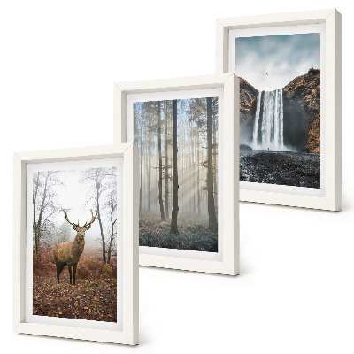 Bilderwand Waldlandschaften, wilde Natur, Hirsche