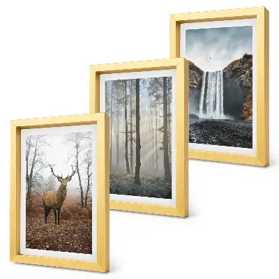 Bilderwand mit Waldlandschaften, wilder Natur und Hirschen