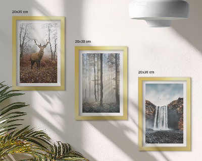 Bilderwand Waldlandschaften, wilde Natur, Hirsche