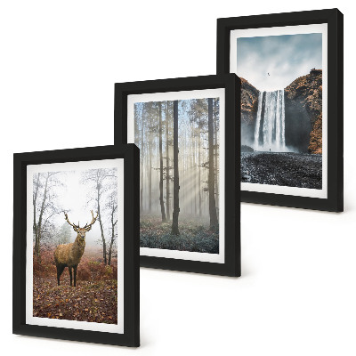 Bilderwand Waldlandschaften, wilde Natur, Hirsche