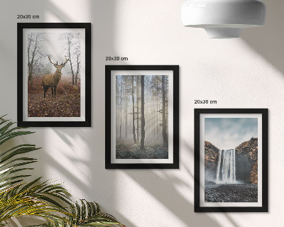 Bilderwand Waldlandschaften, wilde Natur, Hirsche