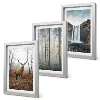 Bilderwand mit Waldlandschaften, wilder Natur und Hirschen