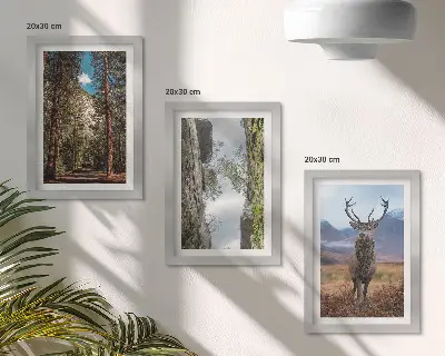 Fotowand mit einer Waldstraße, Bergen und Hirschen in der Natur