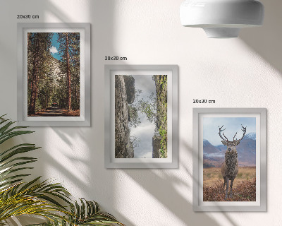 Fotowand Straße im Wald, Berge und Hirsche in der Natur