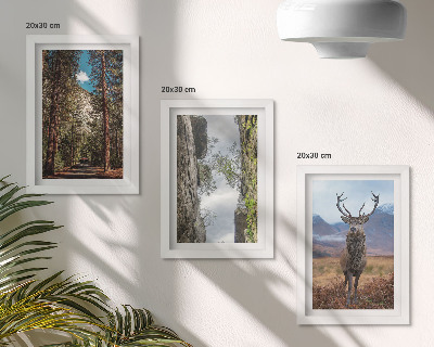 Fotowand Straße im Wald, Berge und Hirsche in der Natur