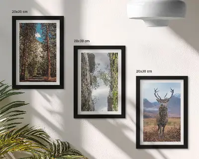 Fotowand mit einer Waldstraße, Bergen und Hirschen in der Natur