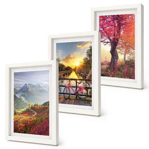 Bilderwand mit Berglandschaften, einem Fahrrad und einem Herbstbaum