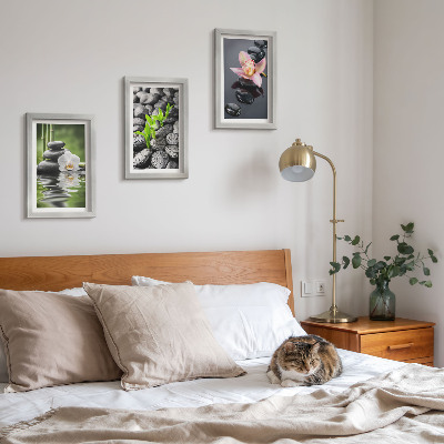 Bilderwand Eine friedvolle Zen-Komposition aus Steinen und Blumen auf dem Wasser