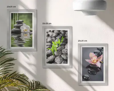 Bilderwand mit einer friedvollen Zen-Komposition aus Steinen und Blumen auf dem Wasser