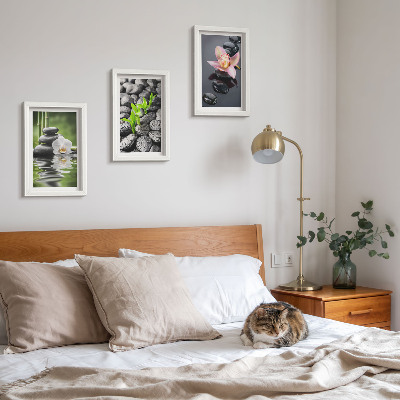 Bilderwand Eine friedvolle Zen-Komposition aus Steinen und Blumen auf dem Wasser