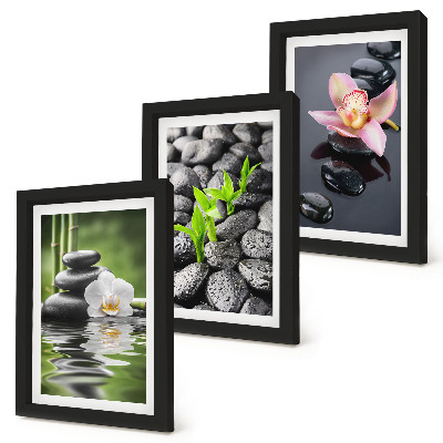 Bilderwand Eine friedvolle Zen-Komposition aus Steinen und Blumen auf dem Wasser