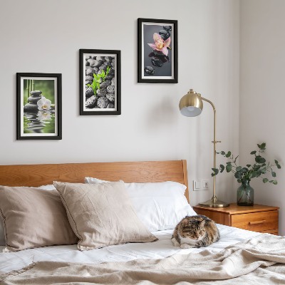 Bilderwand Eine friedvolle Zen-Komposition aus Steinen und Blumen auf dem Wasser